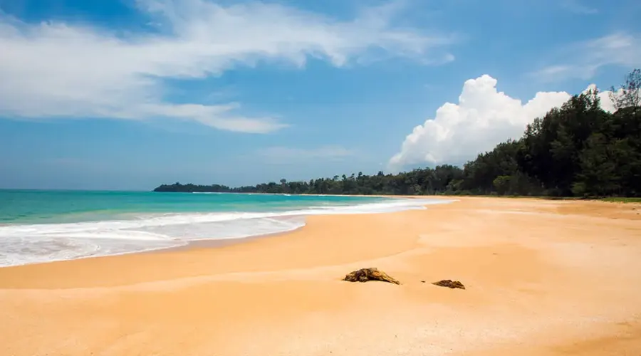 Butler Bay Beach